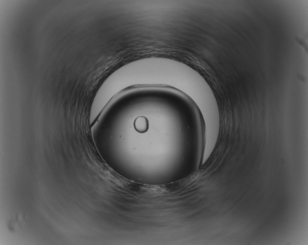 X0000103220621200809111509