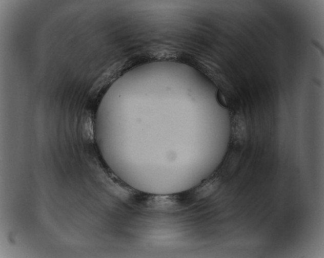 X0000103220622200809111509