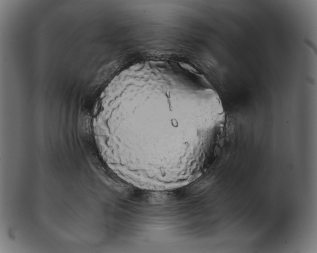 X0000103220623200809111509