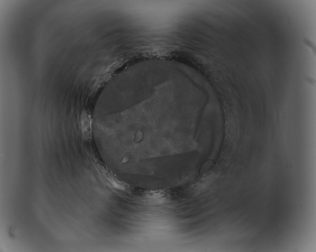 X0000103220624200809111509