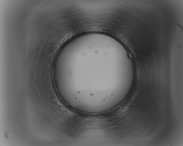 X0000103220625200809111508