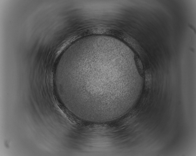 X0000103220626200809111508