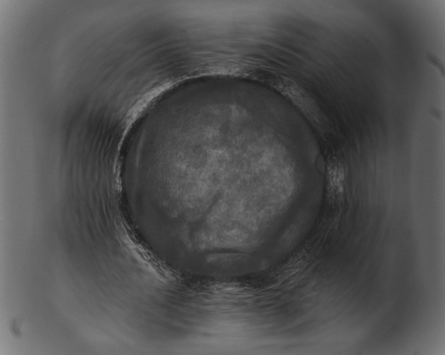 X0000103220628200809111509