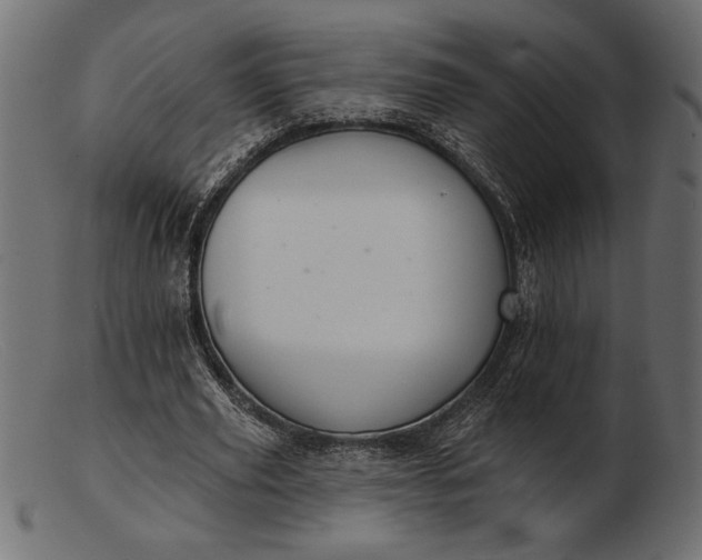 X0000103220629200809111509