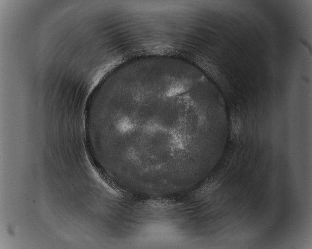 X0000103220630200809111509