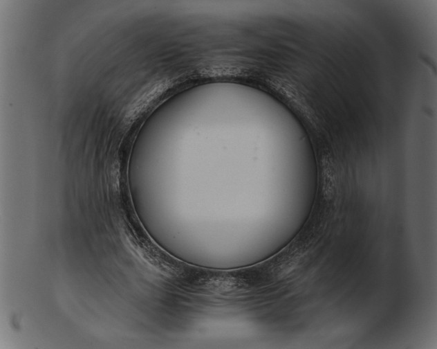 X0000103220631200809111509