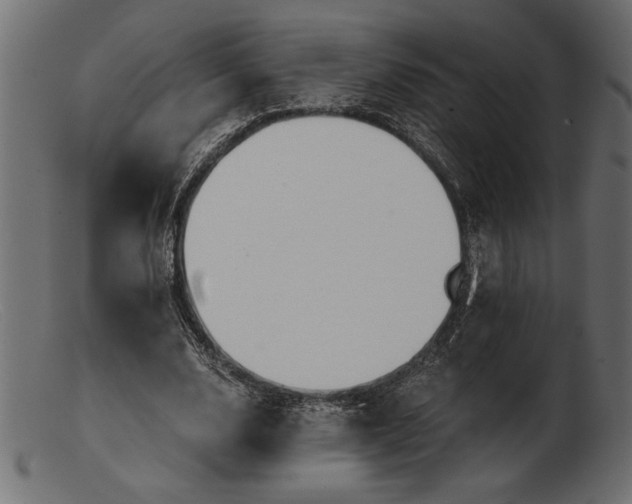 X0000103220632200809111509