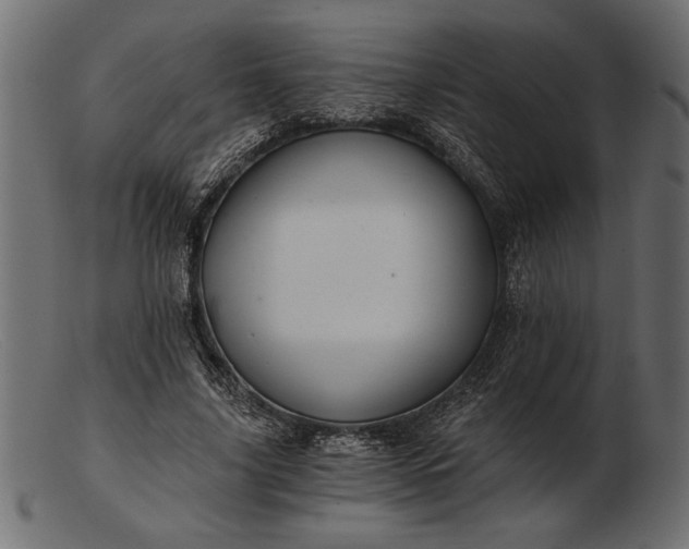 X0000103220635200809111509