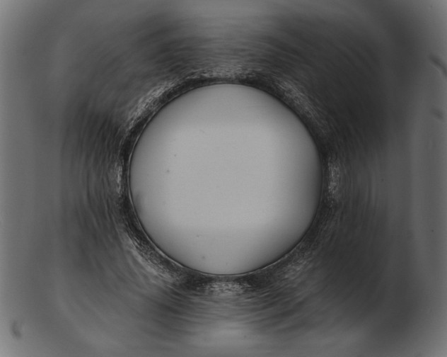 X0000103220636200809111509