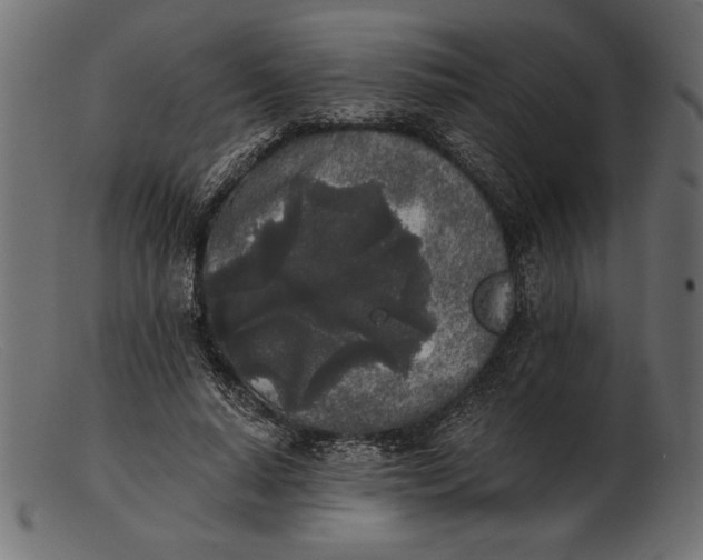 X0000103220640200809111509