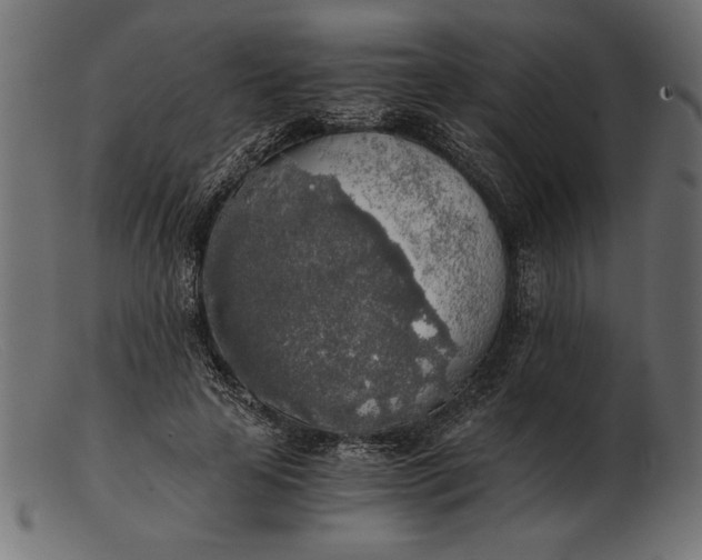 X0000103220641200809111509