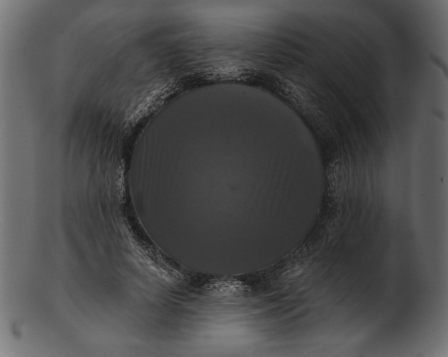 X0000103220642200809111509