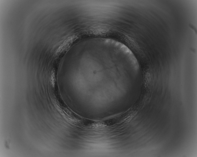 X0000103220644200809111509