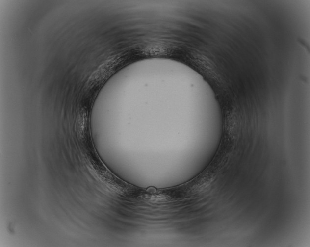 X0000103220645200809111509