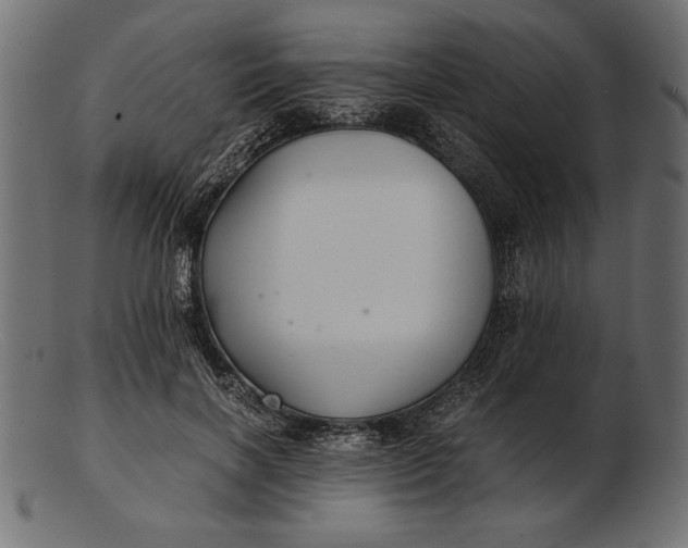 X0000103220646200809111509