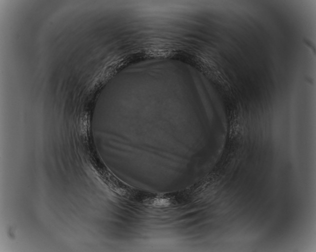 X0000103220647200809111509