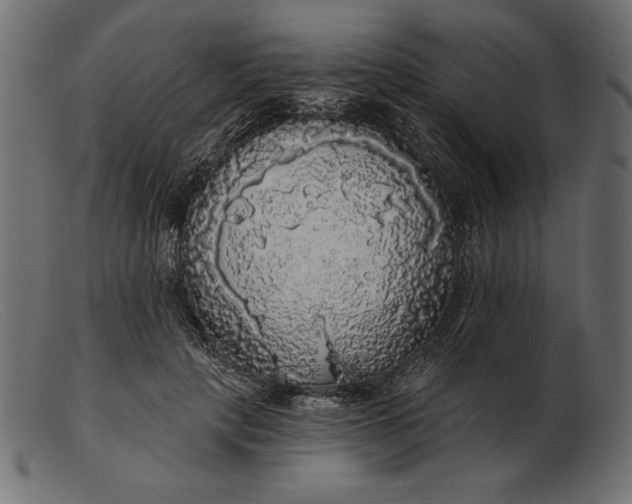 X0000103220649200809111509