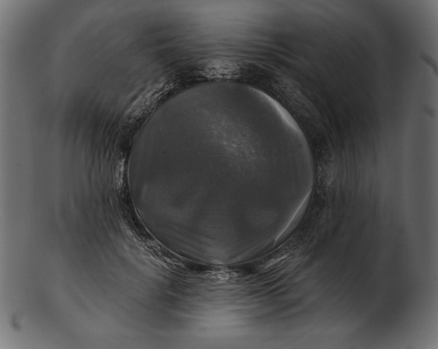 X0000103220652200809111509