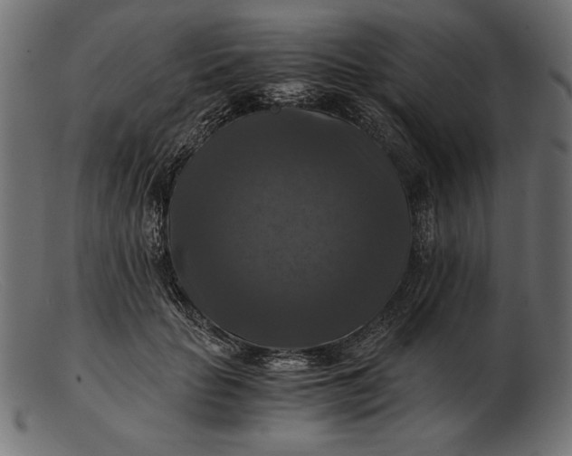 X0000103220653200809111509