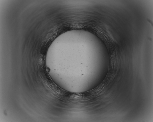 X0000103220655200809111509