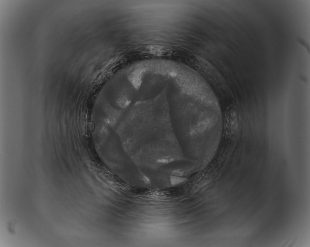 X0000103220656200809111509