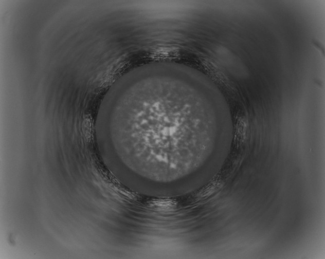 X0000103220659200809111509