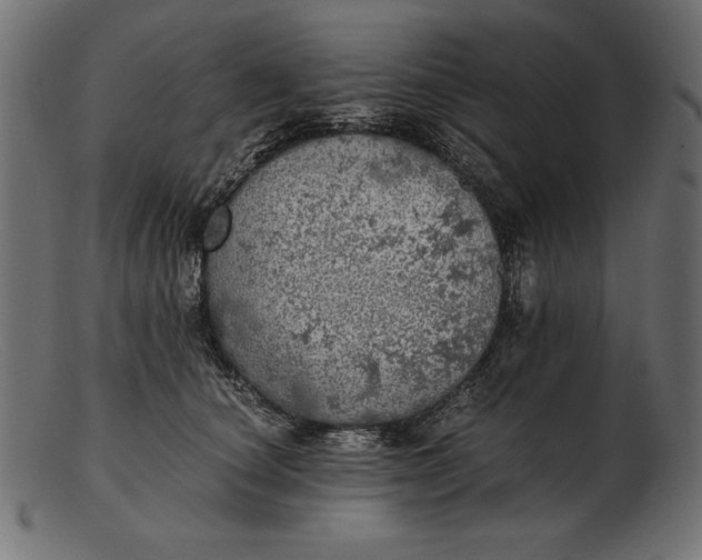 X0000103220660200809111509