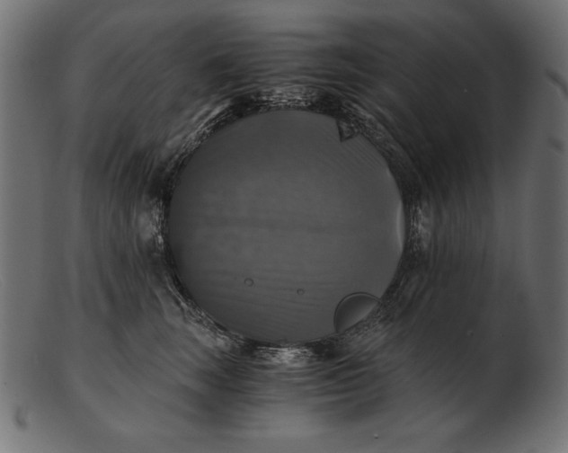 X0000103220663200809111509