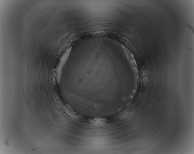 X0000103220664200809111509