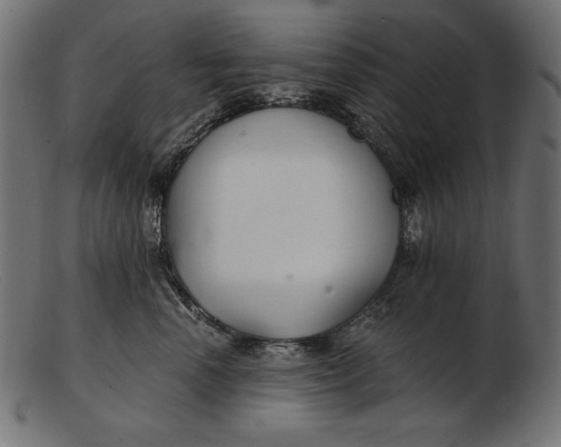 X0000103220666200809111509