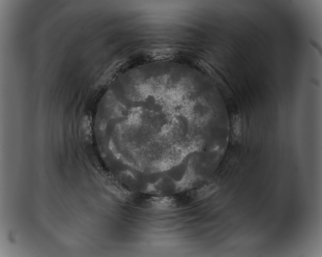 X0000103220667200809111509