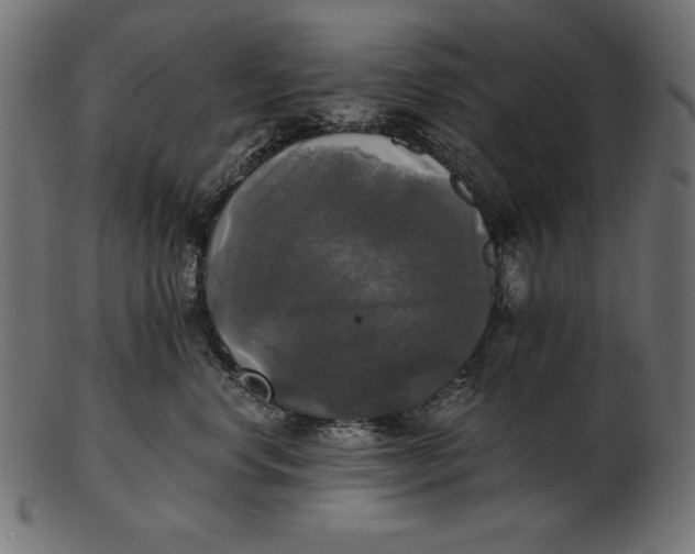 X0000103220668200809111509