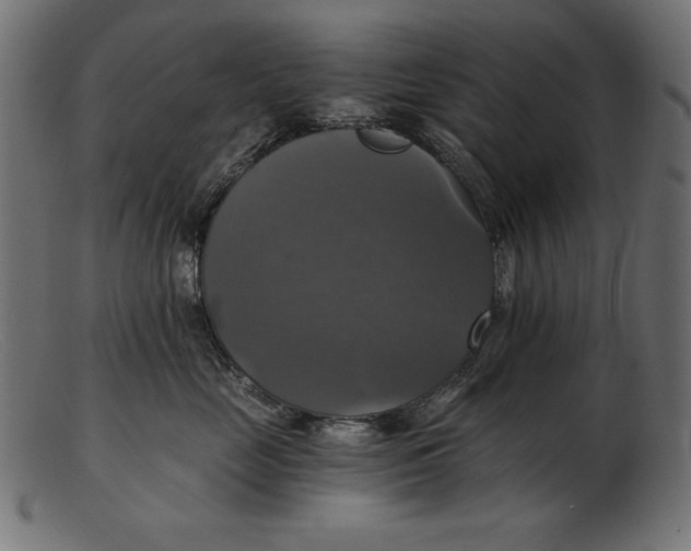 X0000103220669200809111509