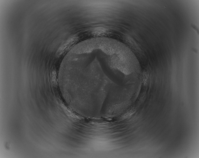 X0000103220670200809111509