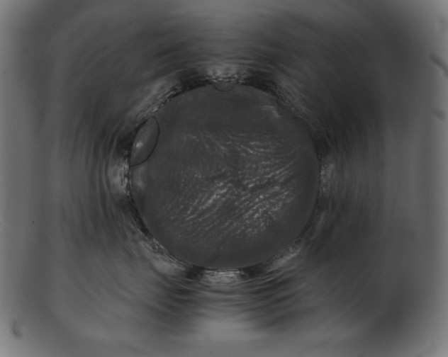 X0000103220671200809111509