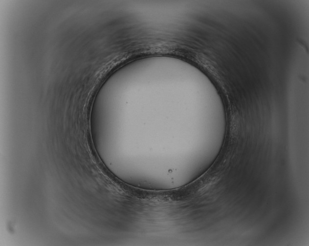 X0000103220673200809111508