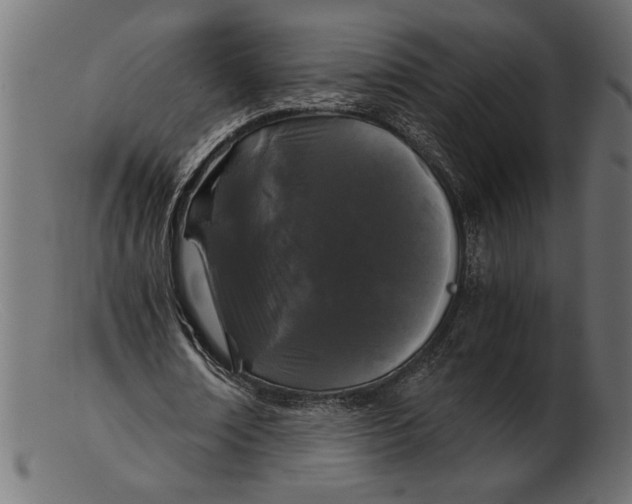 X0000103220674200809111508