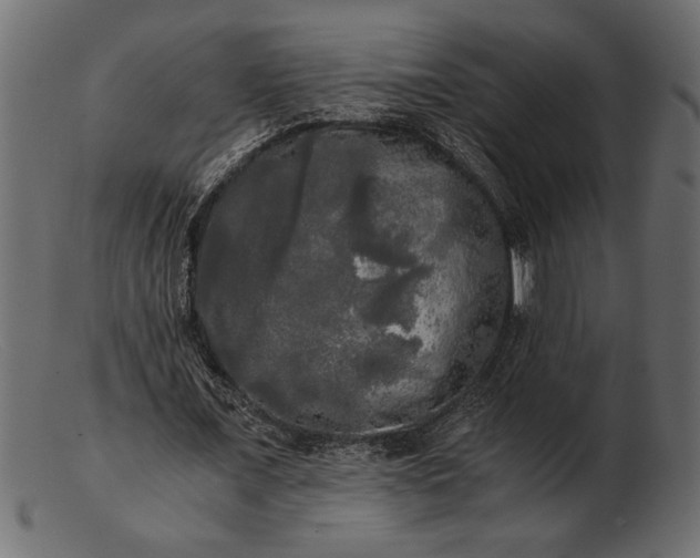 X0000103220675200809111508