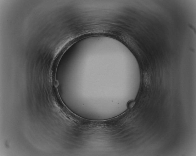 X0000103220676200809111508