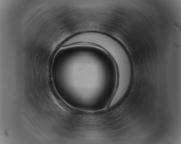 X0000103220677200809111508