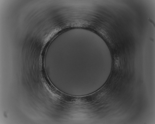 X0000103220678200809111508