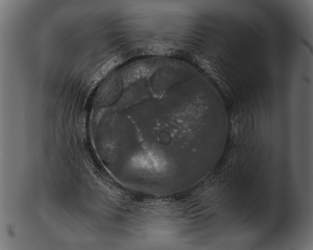 X0000103220679200809111508