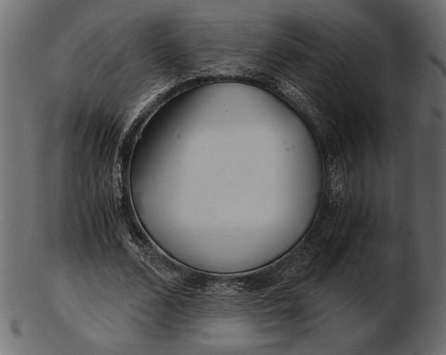 X0000103220680200809111508