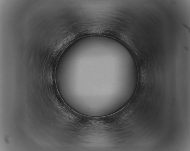 X0000103220681200809111508