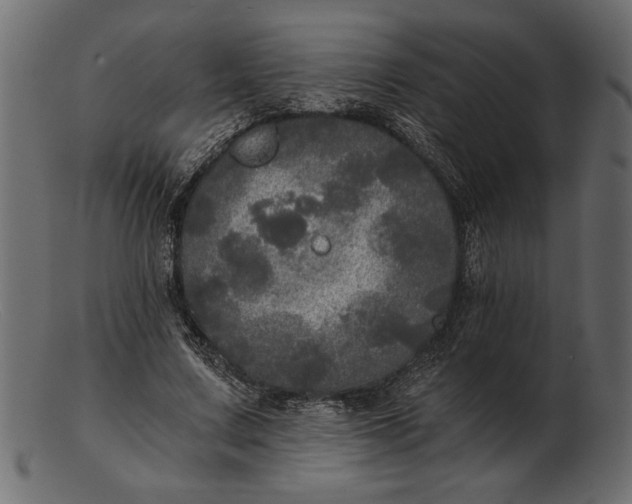 X0000103220683200809111508