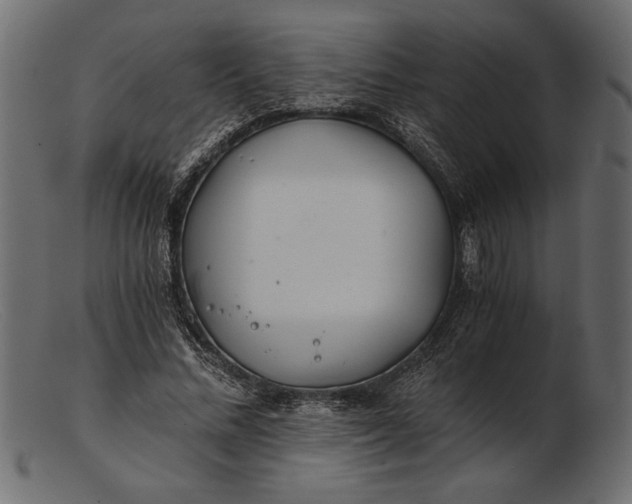 X0000103220684200809111508