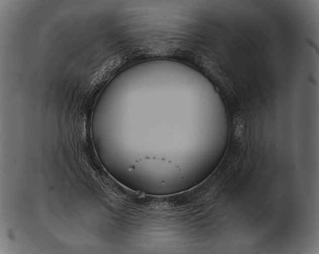 X0000103220685200809111508