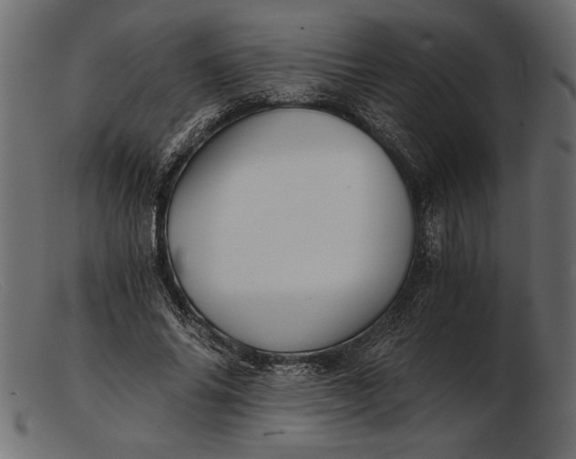 X0000103220686200809111508