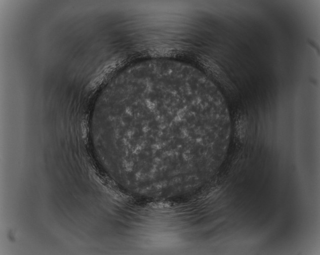 X0000103220687200809111508