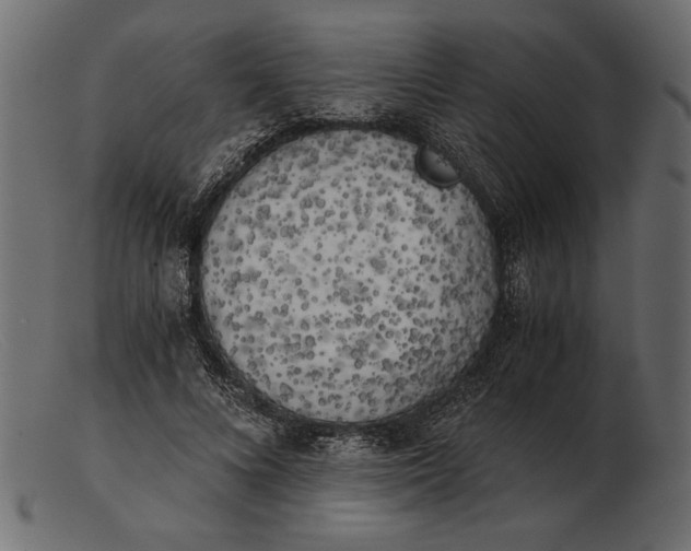 X0000103220688200809111508